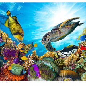 Ocean Turtle Fish Table Wrap Sticker Laminated Vinyl Cover Self-Adhesive for Desk and Tables