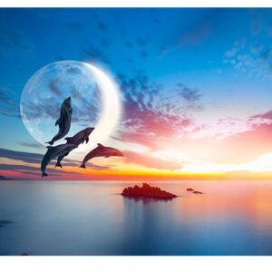 Sunset Ocean Dolphins Table Wrap Sticker Laminated Vinyl Cover Self-Adhesive for Desk and Tables