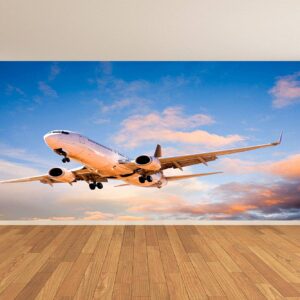 Massive Passenger Airplane Wallpaper Photo Wall Mural Wall UV Print Decal Wall Art Décor