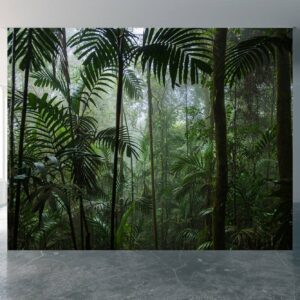 Tropical Jungle Forest Wallpaper Photo Wall Mural Wall UV Print Decal Wall Art Décor