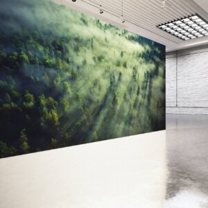 Tropical Forest Landscape Wallpaper Photo Wall Mural Wall UV Print Decal Wall Art Décor