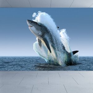Shark Above the Water Wallpaper Photo Wall Mural Wall UV Print Decal Wall Art Décor