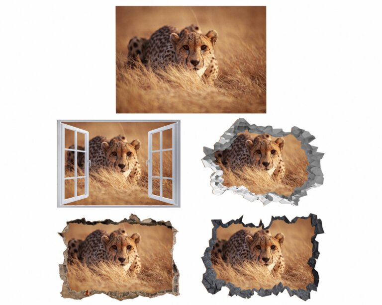 Cheetah Wall Decal - Animal Wall Sticker, Self Adhesive Wall Decal, Vinyl Wall Decor, Animal Print