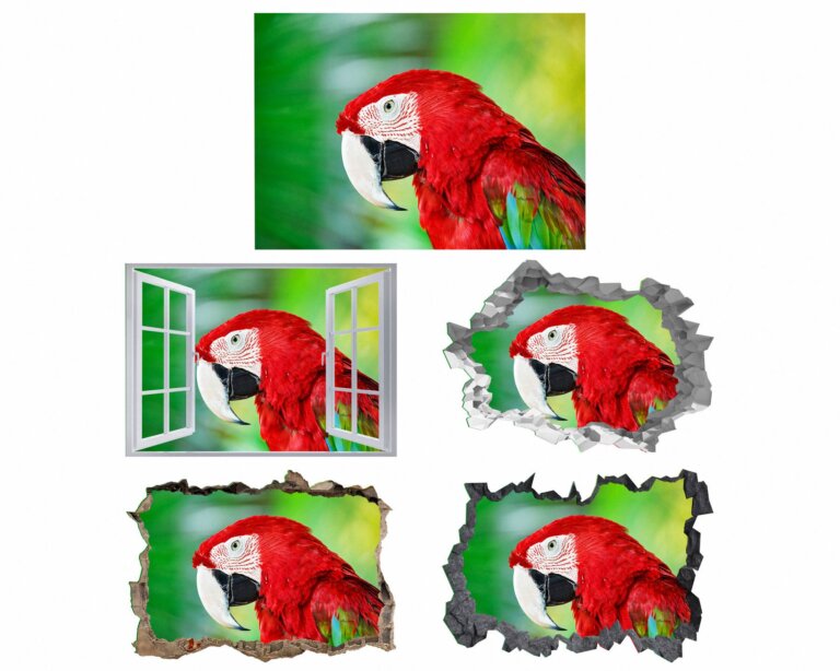 Parrot Wall Sticker - Self Adhesive Wall Sticker, Animal Wall Decal, Bedroom Wall Sticker, Removable Vinyl, Wall Decoration