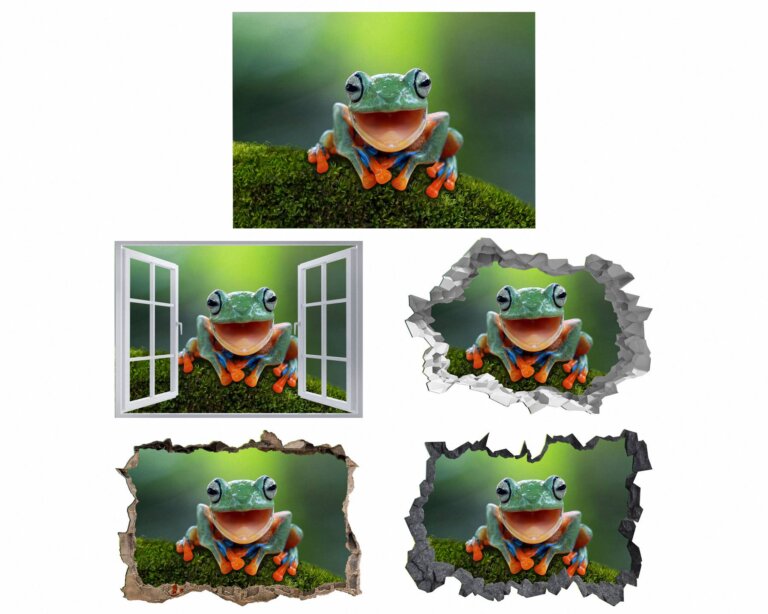 Frog Wall Decal - Self Adhesive Wall Sticker, Animal Wall Decal, Bedroom Wall Sticker, Removable Vinyl, Wall Decoration