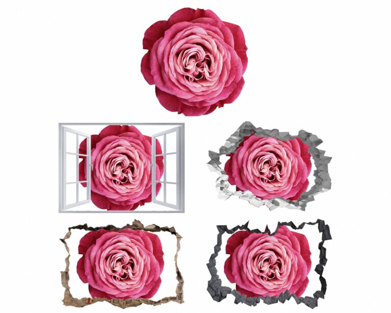Roses Wall Decal - Flower Wall Sticker, Self Adhesive, Removable Vinyl, Easy to Install, Wall Decoration, Flower Wall Mural