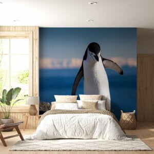 Waterproof penguin-themed wall paper