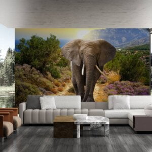 Office adorned with elephant wallpaper mural